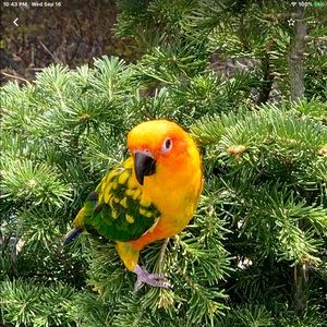 Meet your Posher, Noemi